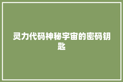 灵力代码神秘宇宙的密码钥匙