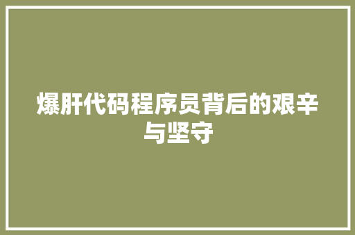 爆肝代码程序员背后的艰辛与坚守