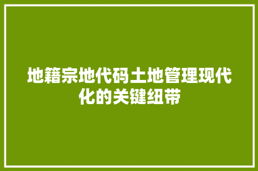 地籍宗地代码土地管理现代化的关键纽带
