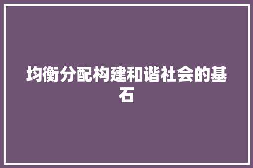 均衡分配构建和谐社会的基石