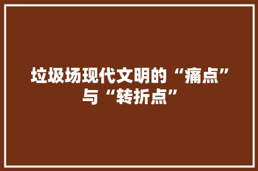 垃圾场现代文明的“痛点”与“转折点”