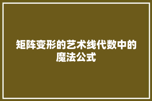 矩阵变形的艺术线代数中的魔法公式
