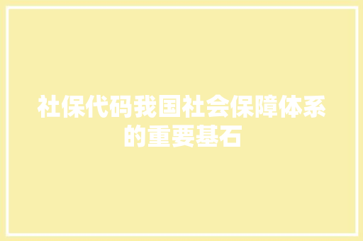 社保代码我国社会保障体系的重要基石