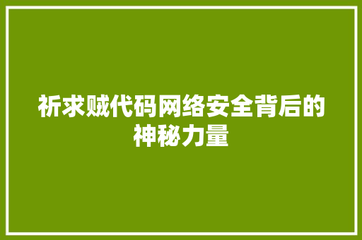 祈求贼代码网络安全背后的神秘力量