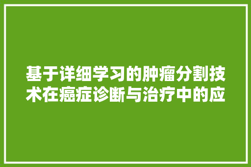 基于详细学习的肿瘤分割技术在癌症诊断与治疗中的应用研究