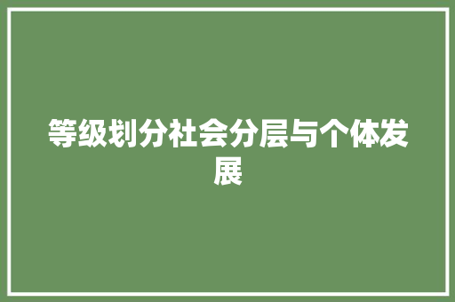 等级划分社会分层与个体发展