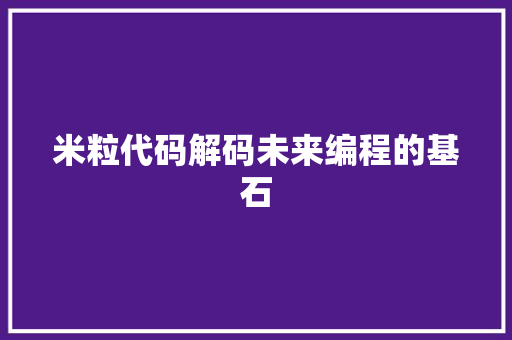 米粒代码解码未来编程的基石
