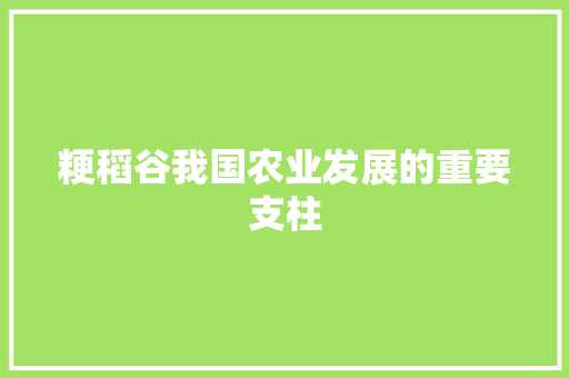 粳稻谷我国农业发展的重要支柱