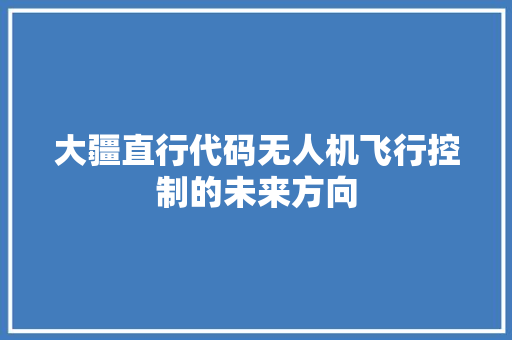 大疆直行代码无人机飞行控制的未来方向
