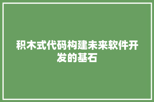 积木式代码构建未来软件开发的基石