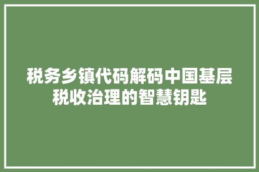 税务乡镇代码解码中国基层税收治理的智慧钥匙