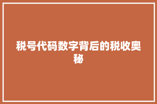 税号代码数字背后的税收奥秘