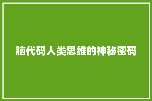 脑代码人类思维的神秘密码