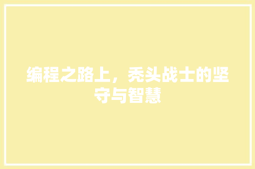 编程之路上，秃头战士的坚守与智慧