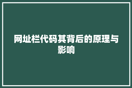 网址栏代码其背后的原理与影响