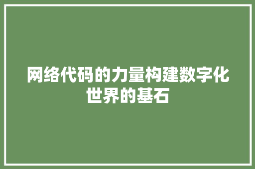 网络代码的力量构建数字化世界的基石