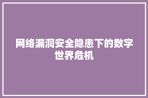 网络漏洞安全隐患下的数字世界危机