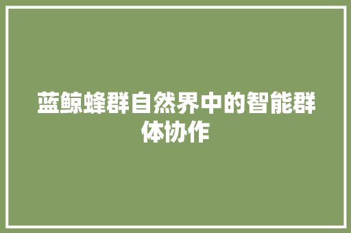 蓝鲸蜂群自然界中的智能群体协作