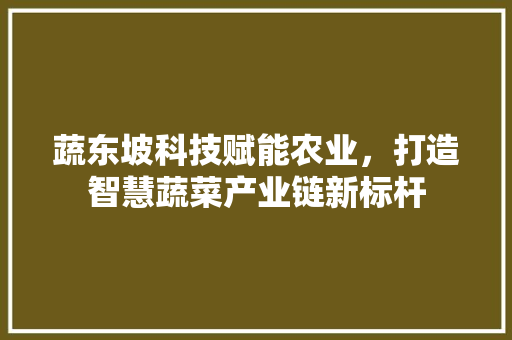 蔬东坡科技赋能农业，打造智慧蔬菜产业链新标杆