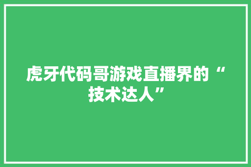 虎牙代码哥游戏直播界的“技术达人”