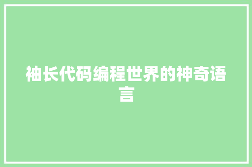 袖长代码编程世界的神奇语言