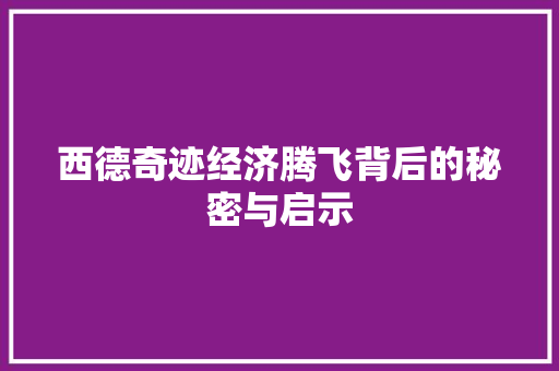 西德奇迹经济腾飞背后的秘密与启示