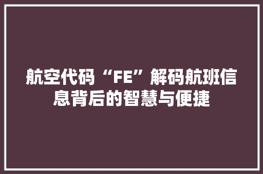 航空代码“FE”解码航班信息背后的智慧与便捷