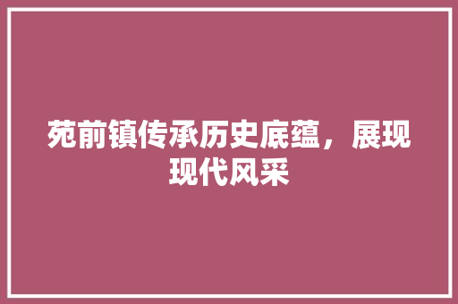 苑前镇传承历史底蕴，展现现代风采