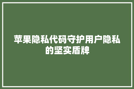 苹果隐私代码守护用户隐私的坚实盾牌