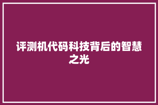 评测机代码科技背后的智慧之光