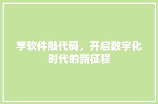 学软件敲代码，开启数字化时代的新征程