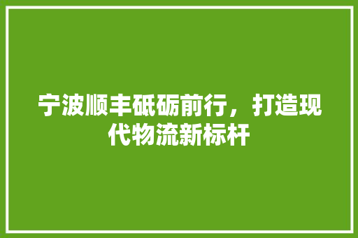 宁波顺丰砥砺前行，打造现代物流新标杆