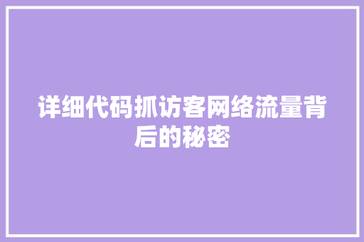 详细代码抓访客网络流量背后的秘密