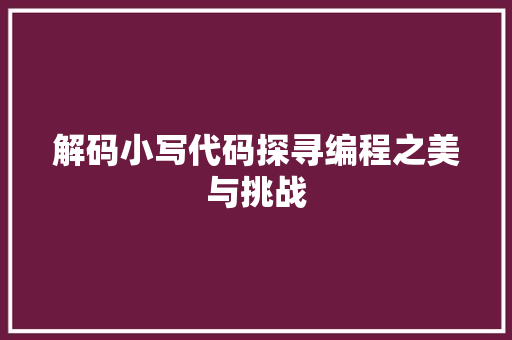 解码小写代码探寻编程之美与挑战
