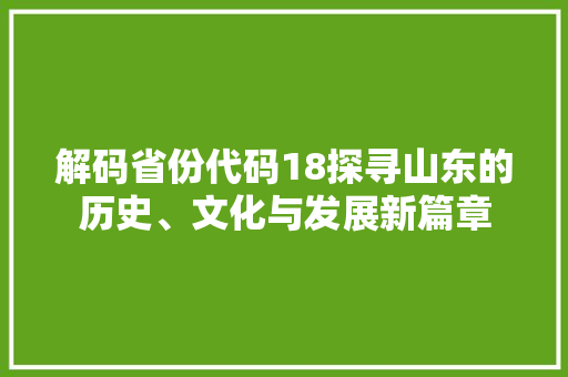 解码省份代码18探寻山东的历史、文化与发展新篇章