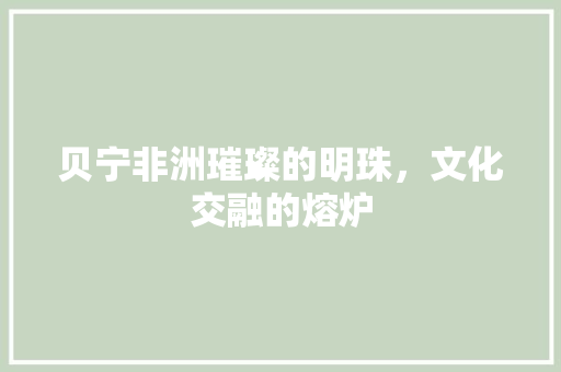 贝宁非洲璀璨的明珠，文化交融的熔炉