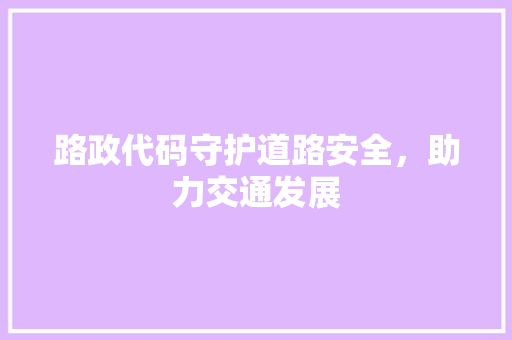 路政代码守护道路安全，助力交通发展