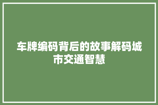 车牌编码背后的故事解码城市交通智慧