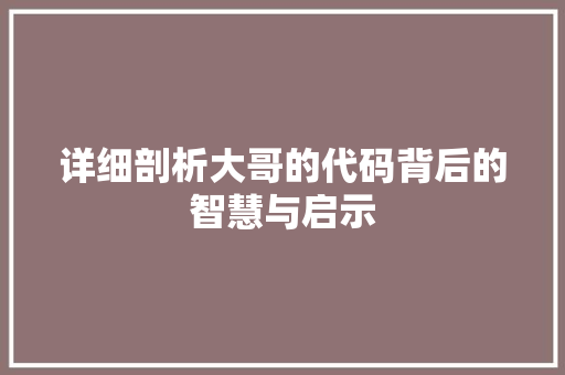 详细剖析大哥的代码背后的智慧与启示