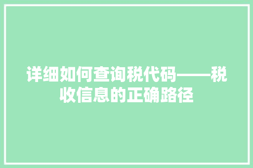 详细如何查询税代码——税收信息的正确路径