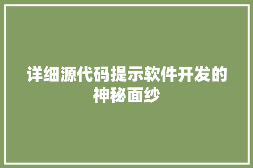 详细源代码提示软件开发的神秘面纱