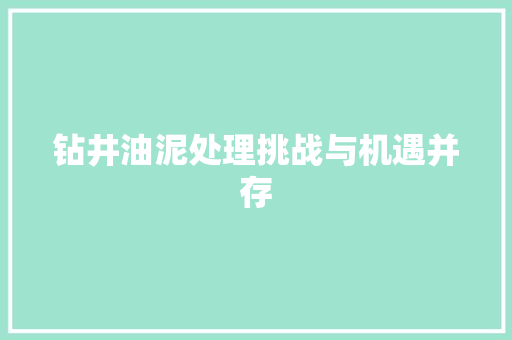 钻井油泥处理挑战与机遇并存