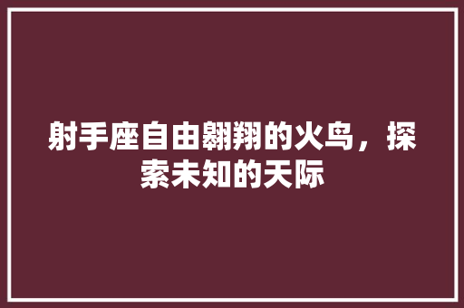 射手座自由翱翔的火鸟，探索未知的天际