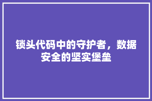 锁头代码中的守护者，数据安全的坚实堡垒