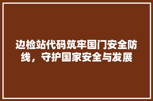边检站代码筑牢国门安全防线，守护国家安全与发展