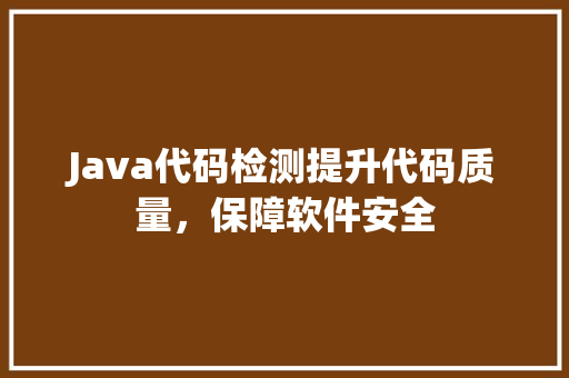 Java代码检测提升代码质量，保障软件安全