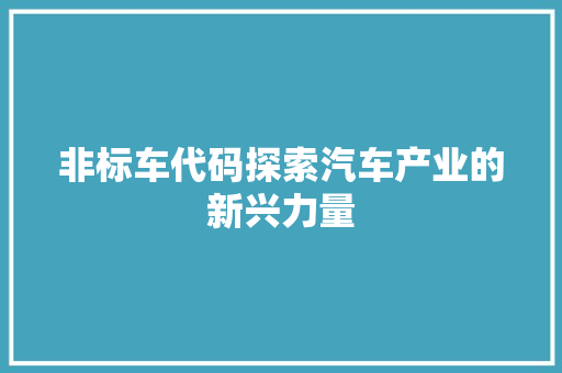 非标车代码探索汽车产业的新兴力量