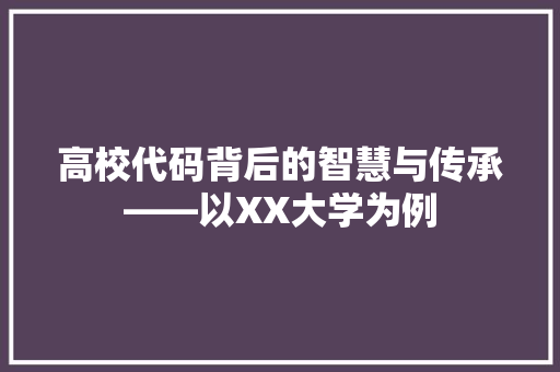 高校代码背后的智慧与传承——以XX大学为例