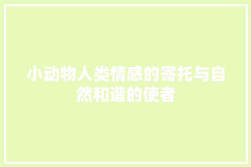 小动物人类情感的寄托与自然和谐的使者
