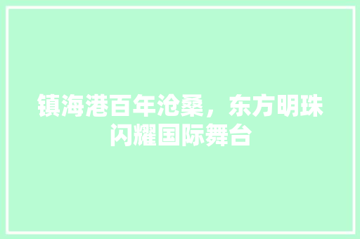 镇海港百年沧桑，东方明珠闪耀国际舞台